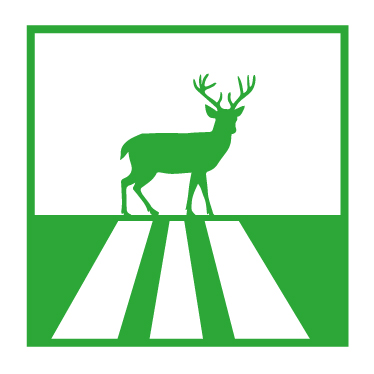 logo Biodiversidad CDMX