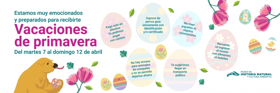 Banners Pagina Web 2026_Vacaciones Primavera