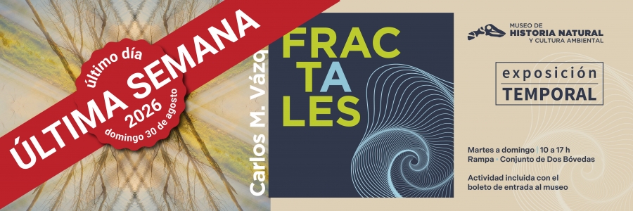 Banner FRACTALES ultima semana