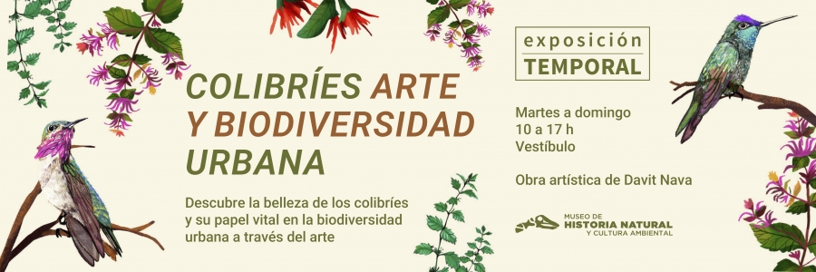 Banners Pagina Web 2026_Colibries SEDEMA