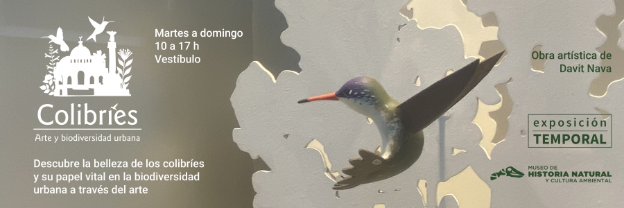 Banner Colibries 2 Web 2026