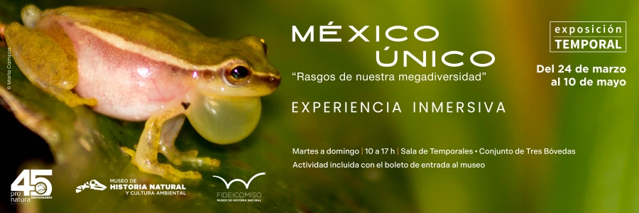 Banners Pagina Web 2026_Mexico Unico