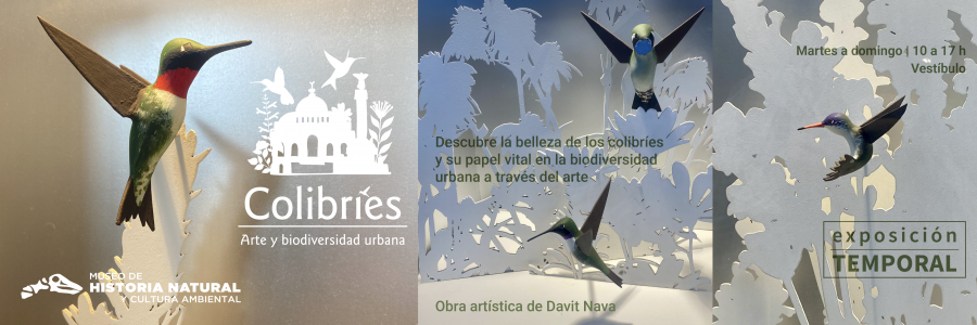 Banner Web 2026_Colibries