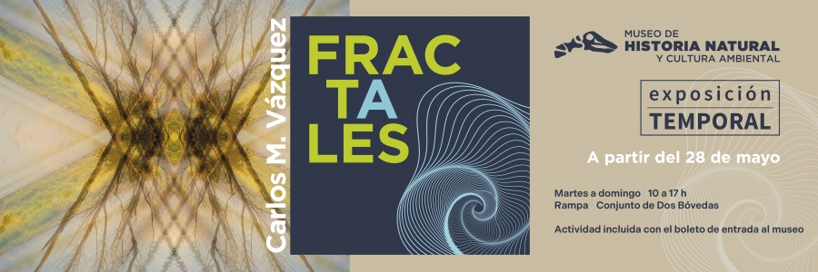 Banner Web_Fractales_Mesa de trabajo 1 copia 13