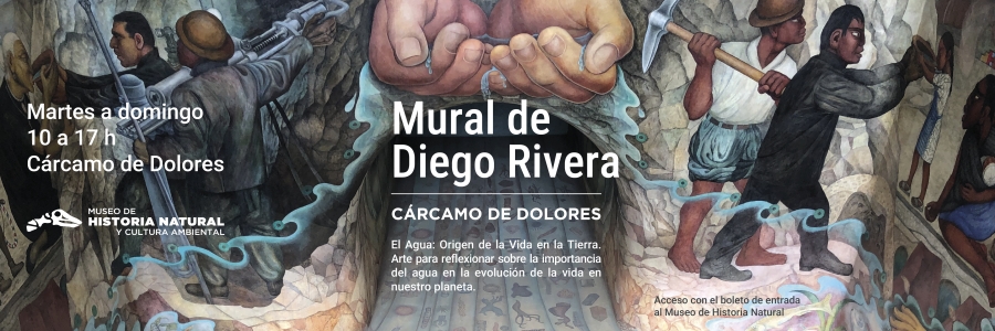 Banner Carcamo Web 2026