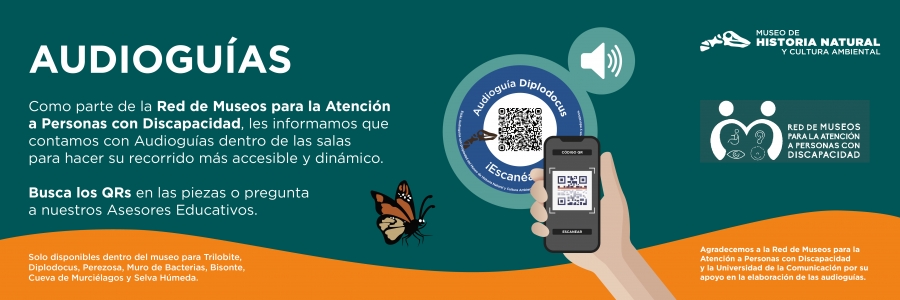 Banner Audioguias 2026_Web