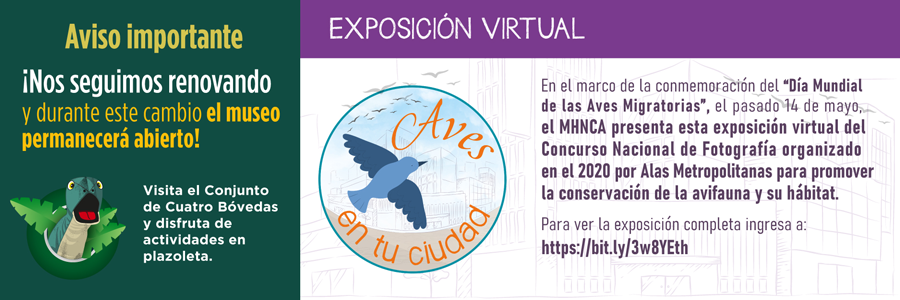 banners-aviso-renovacion-2022-expo-virtual-aves-en-tu-ciudad