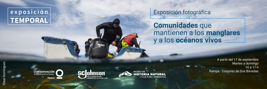 Banner_Comunidades Manglares Pagina Web 2026