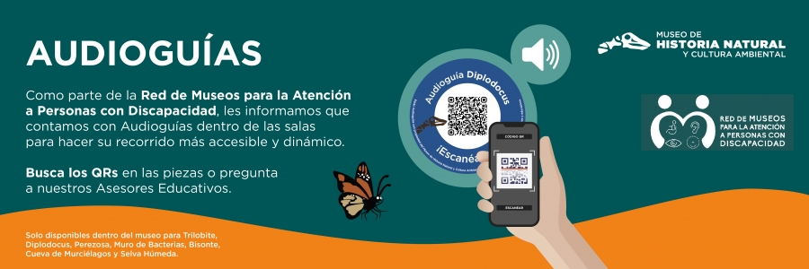 Banners Audioguias 2026_website