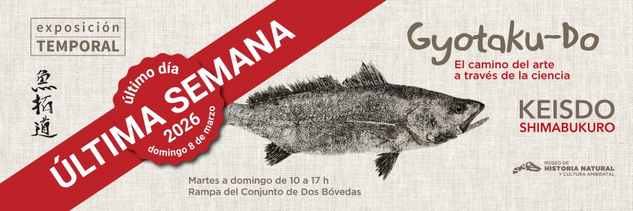 Banners Pagina Web 2025_Ultima semana_Keisdo