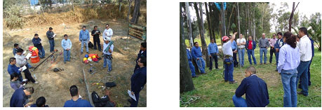 Curso poda y retiro de árboles recibiendo instrucción de poda de árboles