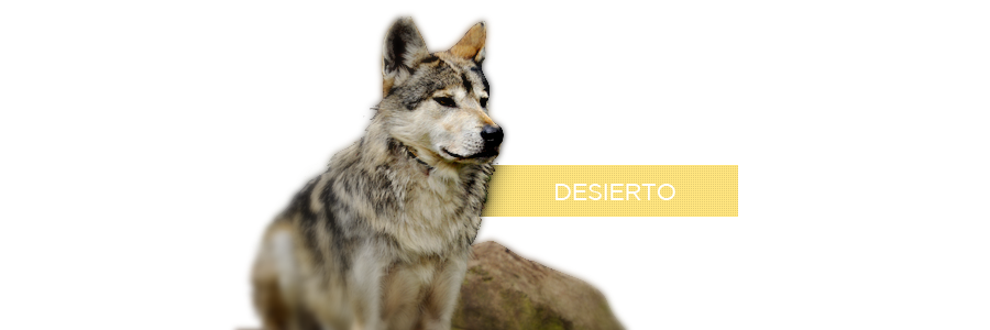 Desierto