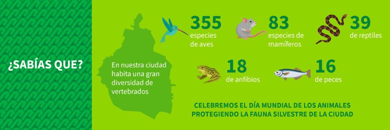 sabias_que