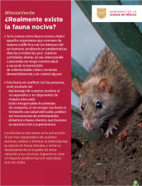 ¿Realmente existe la fauna nociva?