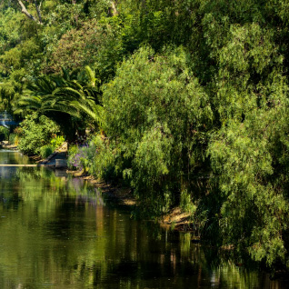 Parque