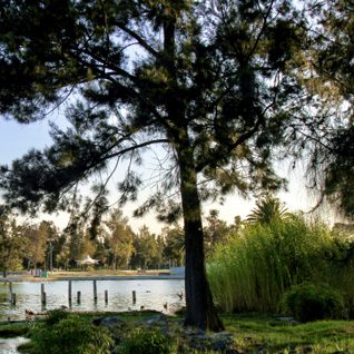 Parque