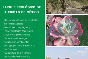 Parque Ecológico de la CDMX