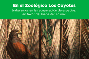 Zoológico Los Coyotes
